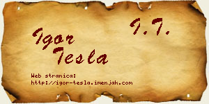 Igor Tesla vizit kartica